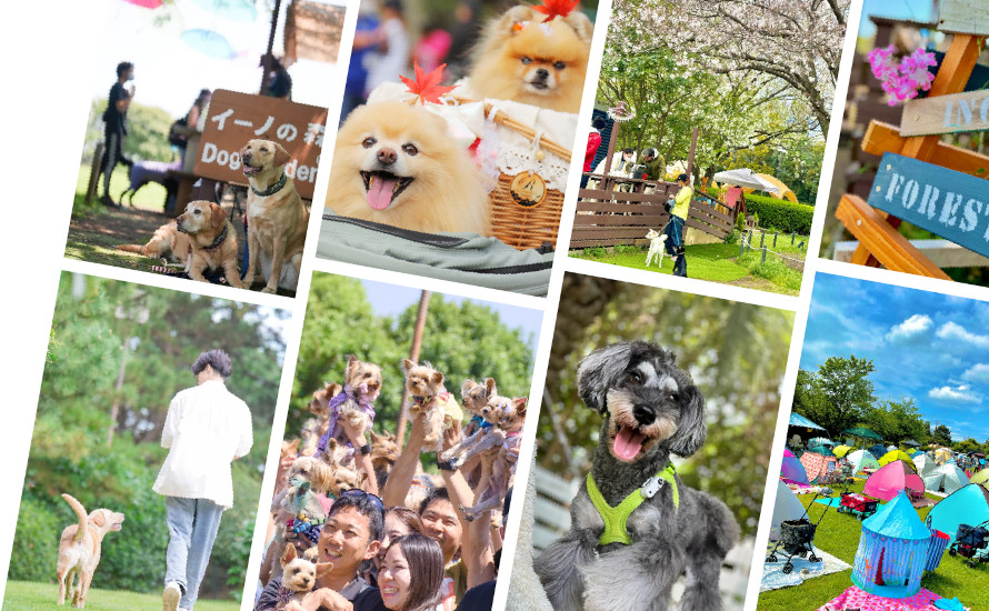 イーノの森DogGarden