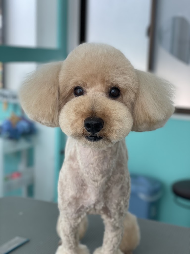 Dog Garden NEO CUORE