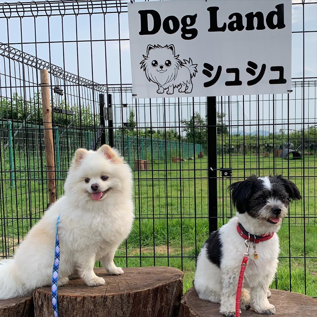Dog Land シュシュ