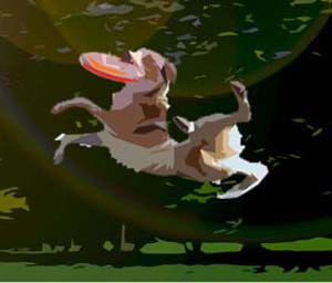 Dog Sports Base Tobetsu