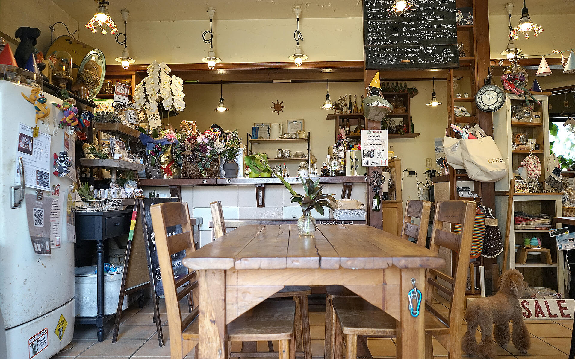 Dog cafe three C