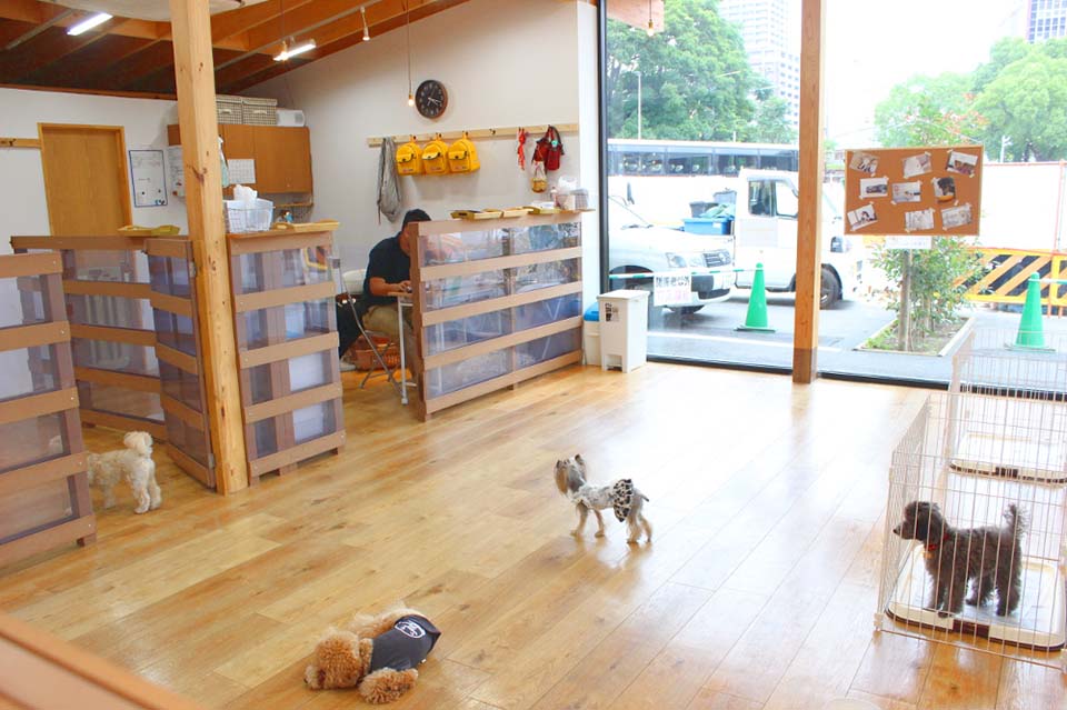 GRASS　DOG&CAT　てんしば店