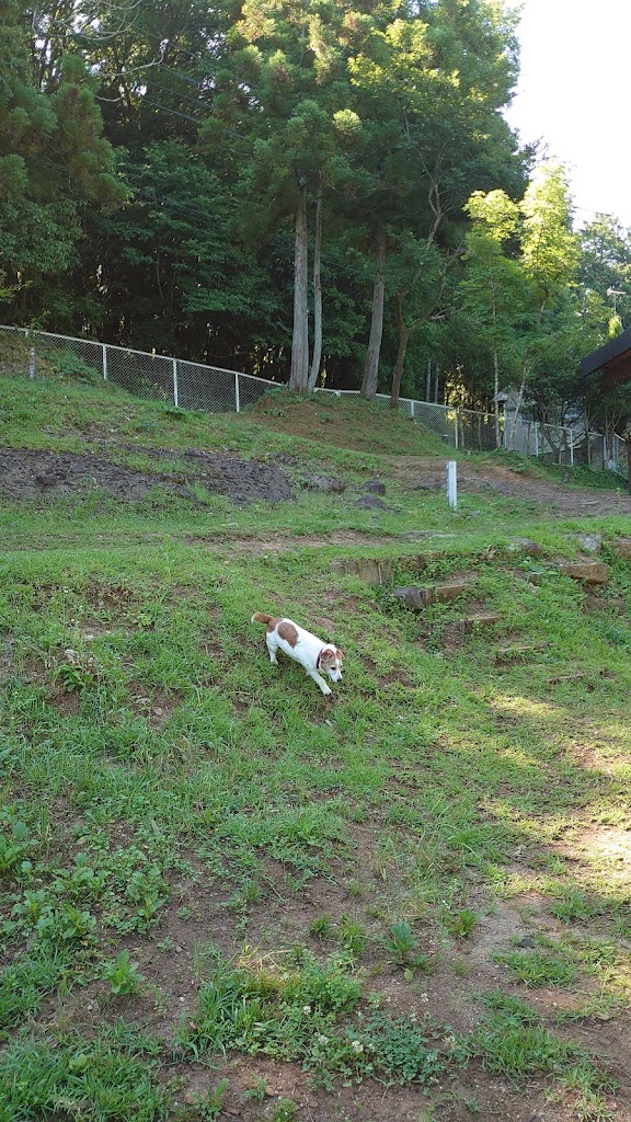 ドッグランGallop-アルジの里-