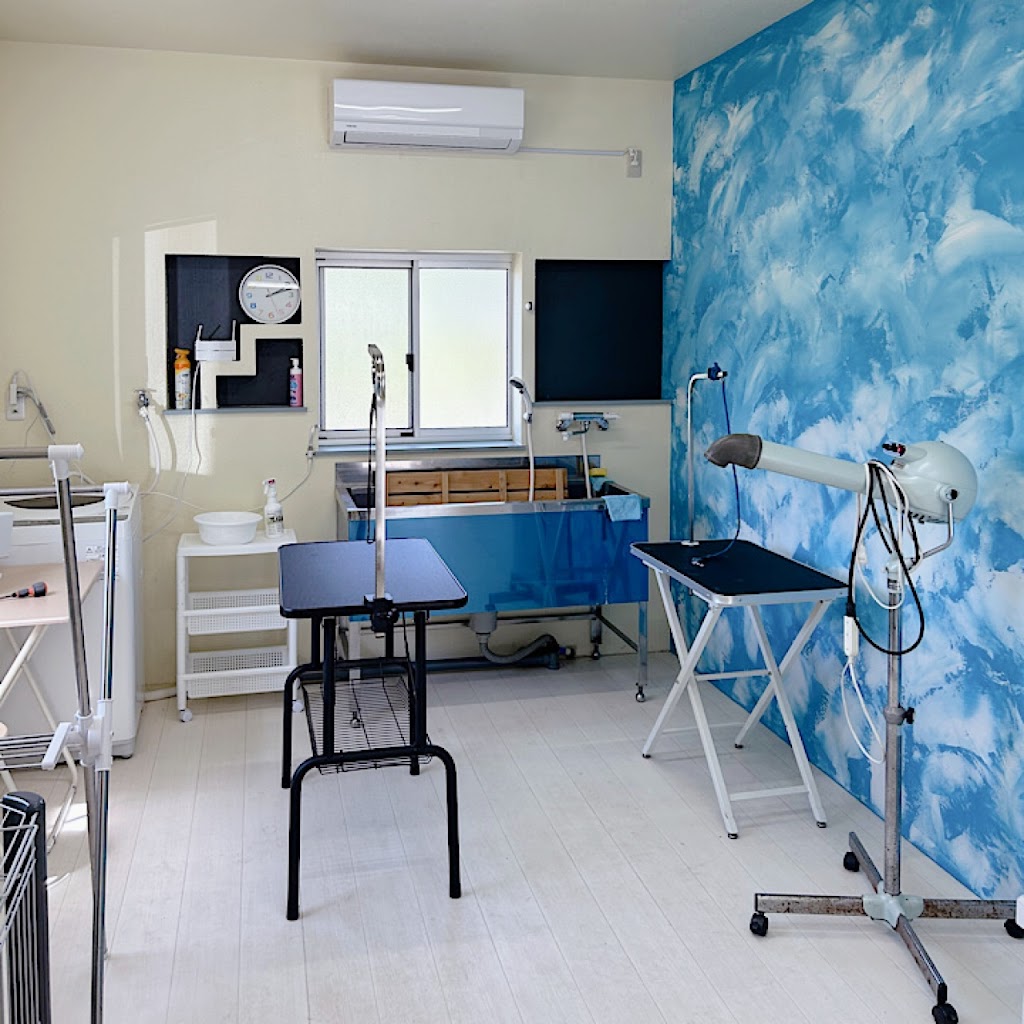 セルフウォッシュ&ドッグラン J’s