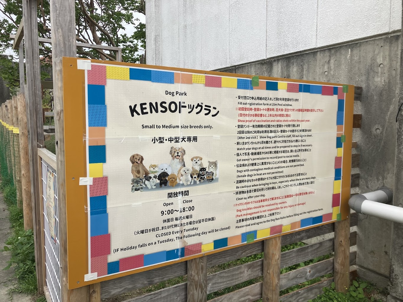 沖縄県総合運動公園 KENSOドッグラン