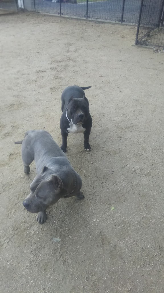 LAUGHTERドッグラン