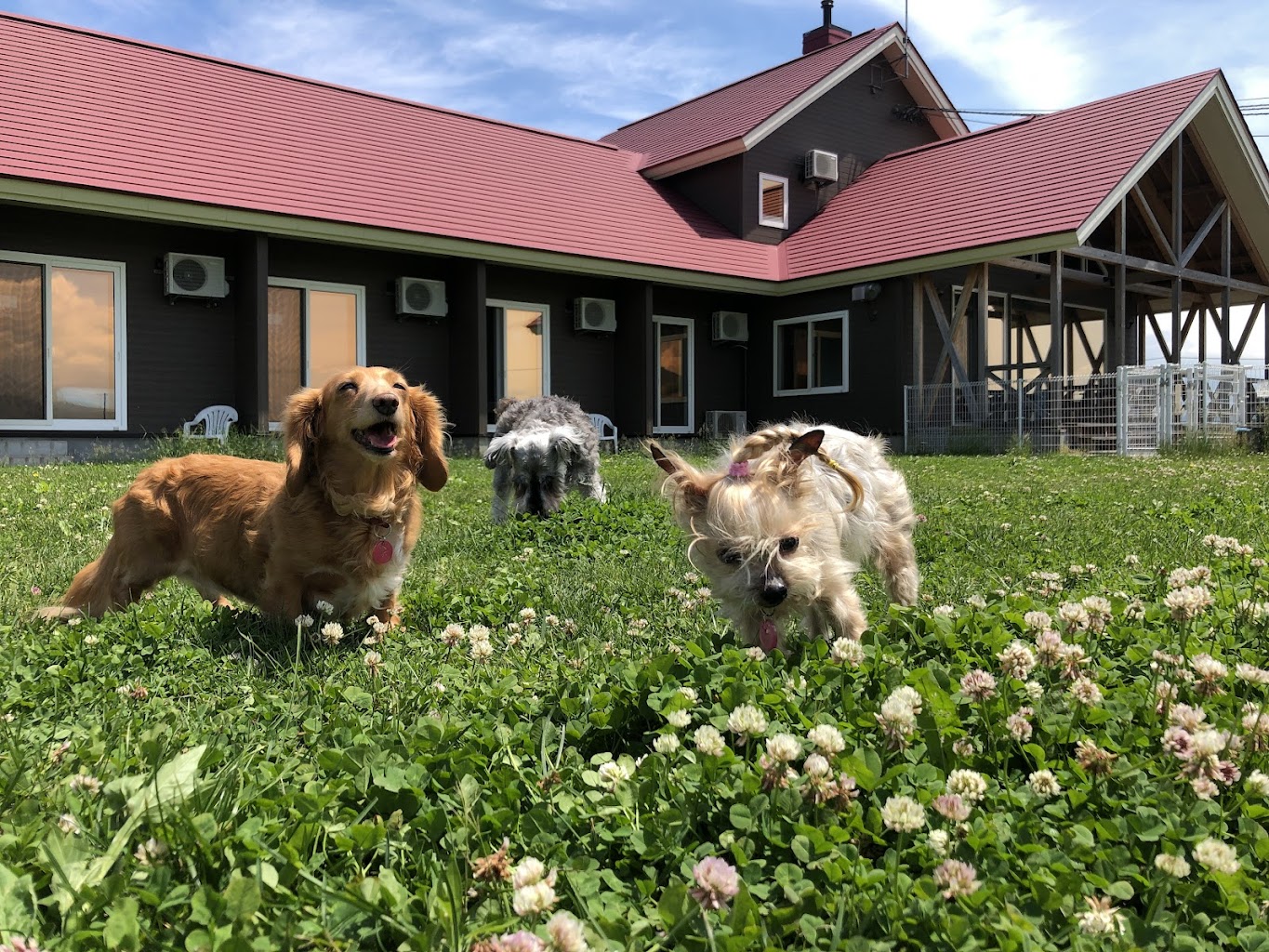 ペットと泊まれる宿 Land Mark