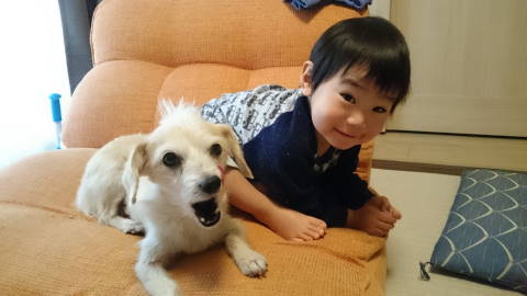 N・WanCLUB（ｴﾇﾜﾝｸﾗﾌﾞ）ﾜﾝｺのひみつきち