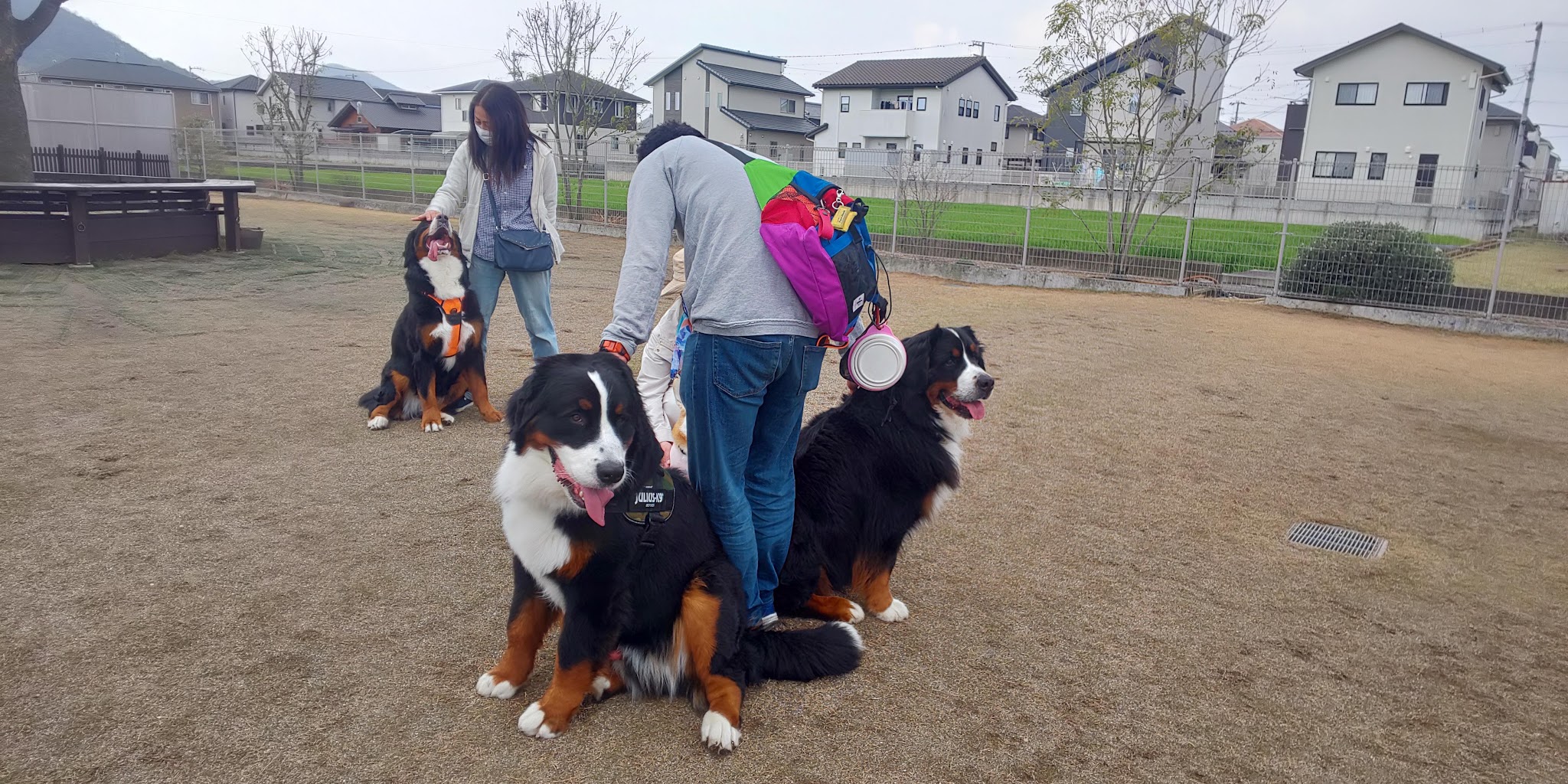 ドッグリゾート One’s club