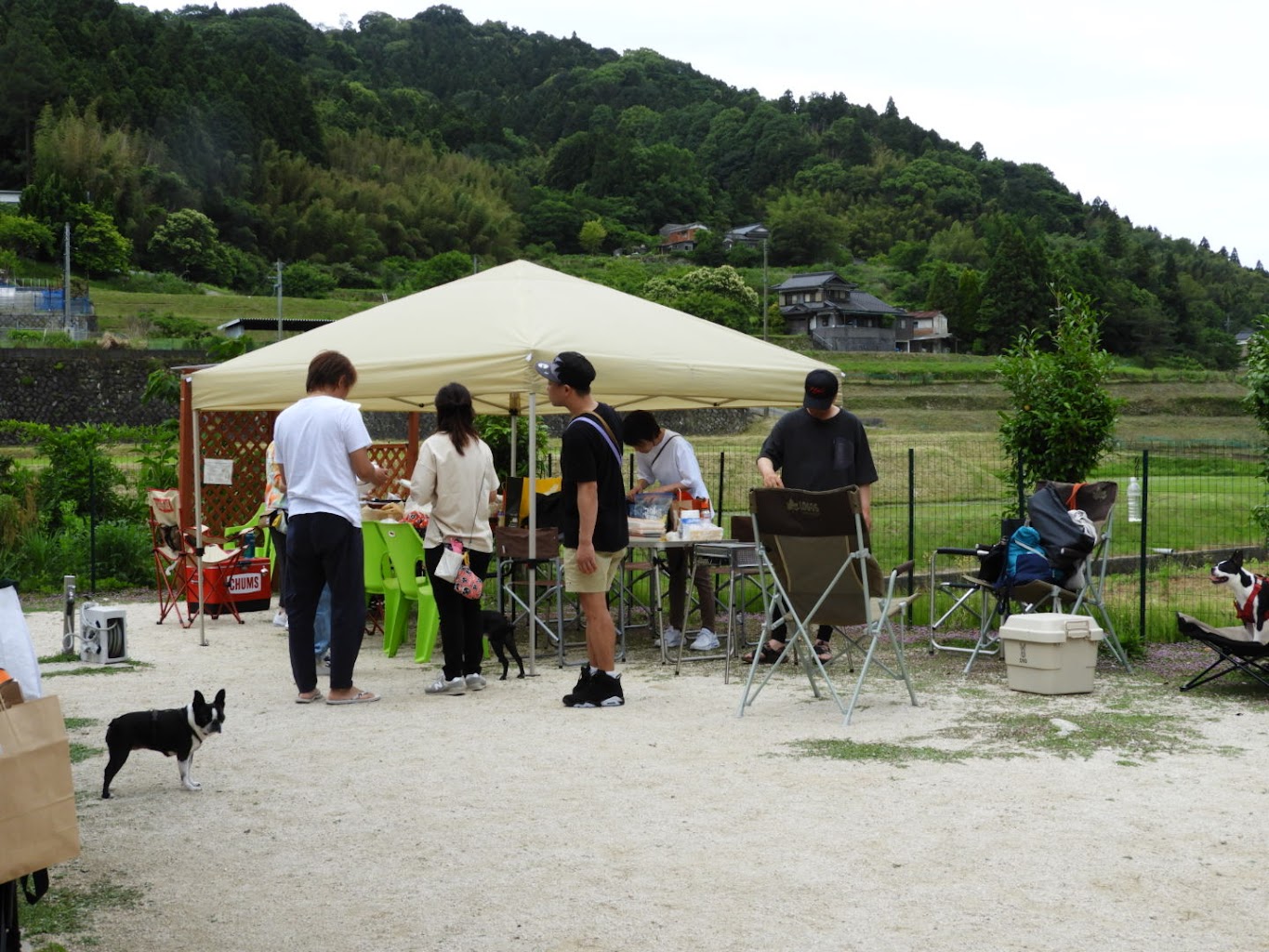 ドッグランPEACE