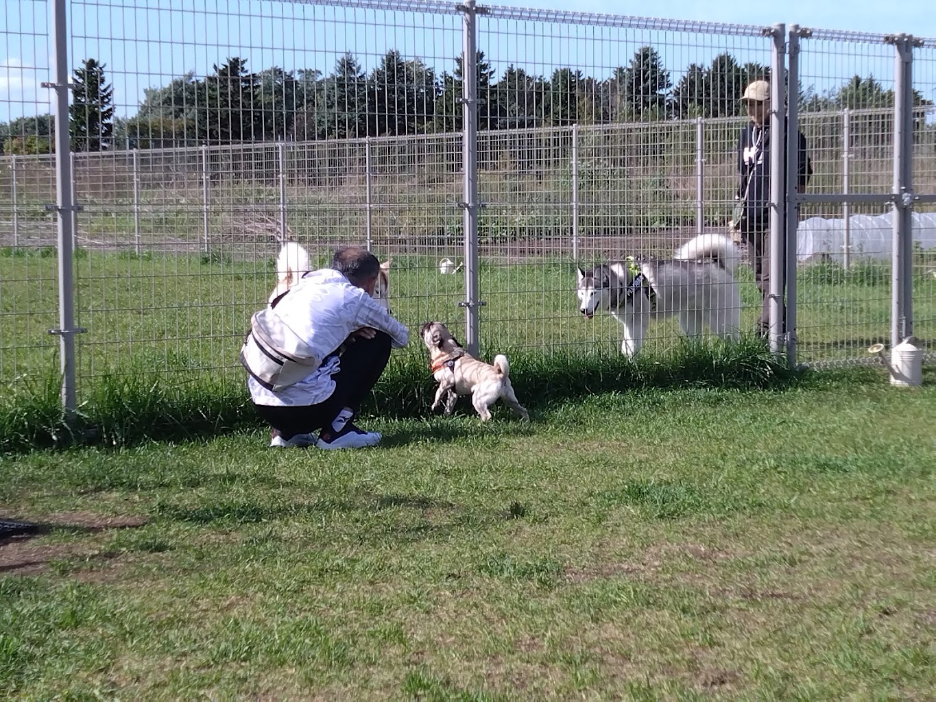 PEBOドッグパーク