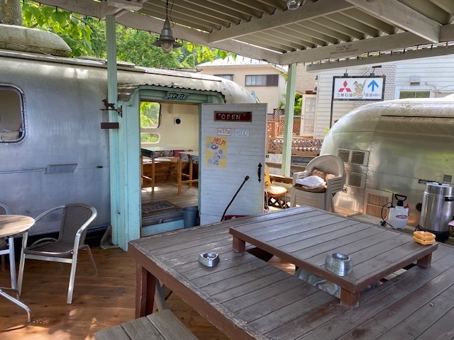 PLAYFUL DOG（プレイフルドッグ）