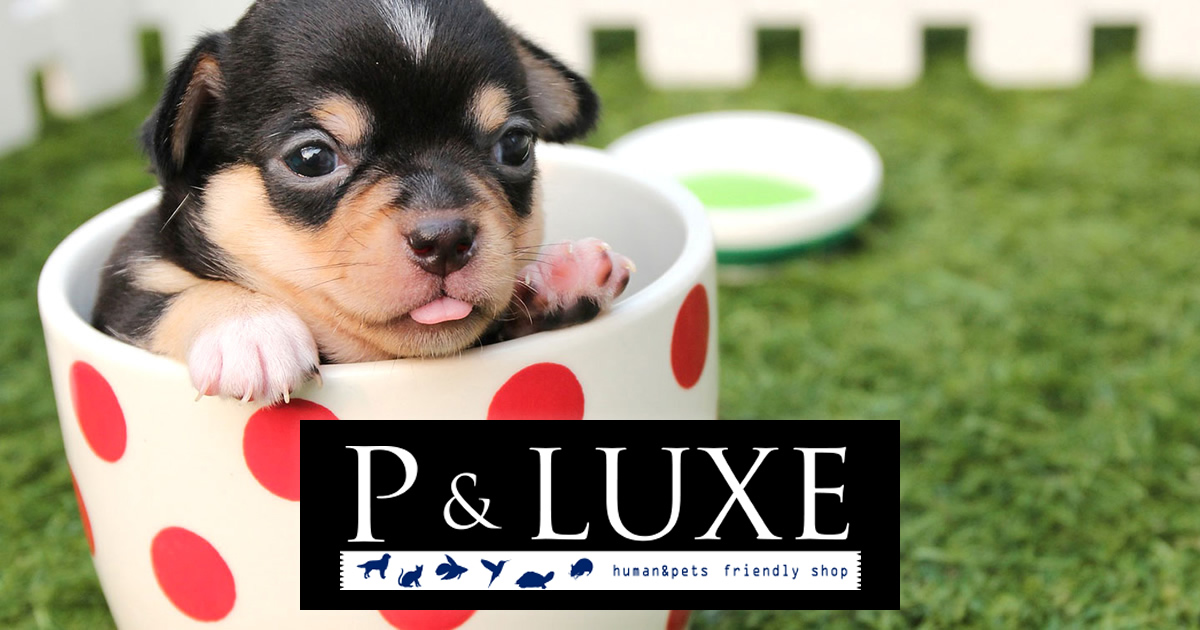 P&LUXE（ピー＆リュクス）