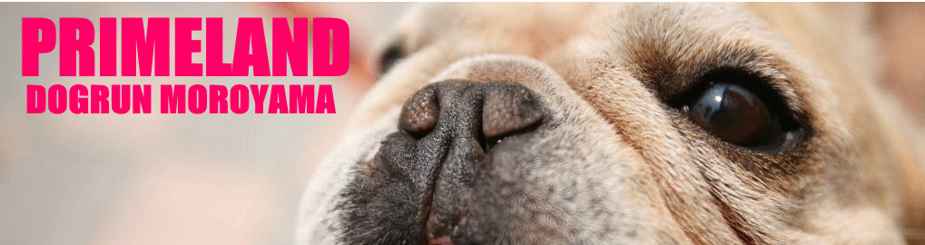 PRIMELAND ドッグランもろやま