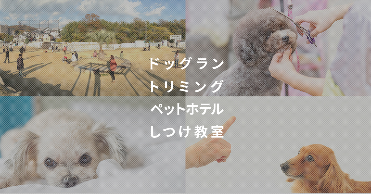 P-WELLくずはモール店