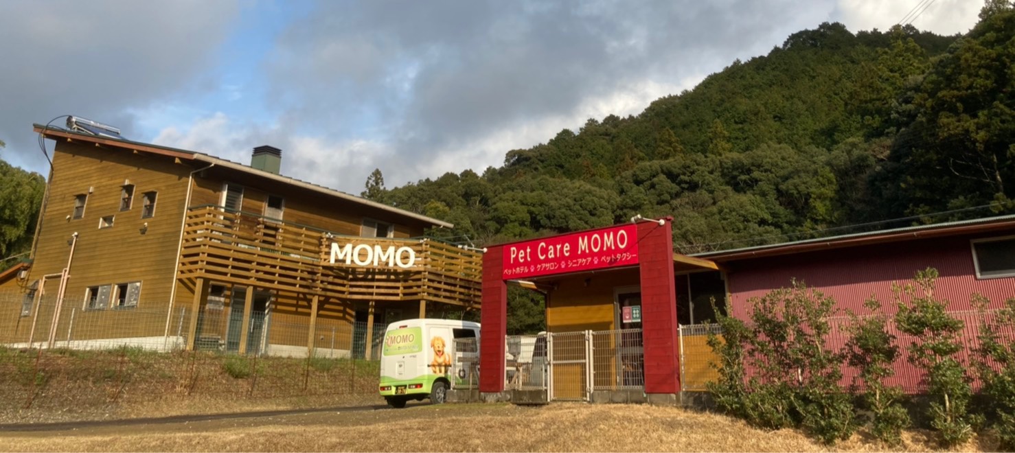 Pet Hotel MOMO
