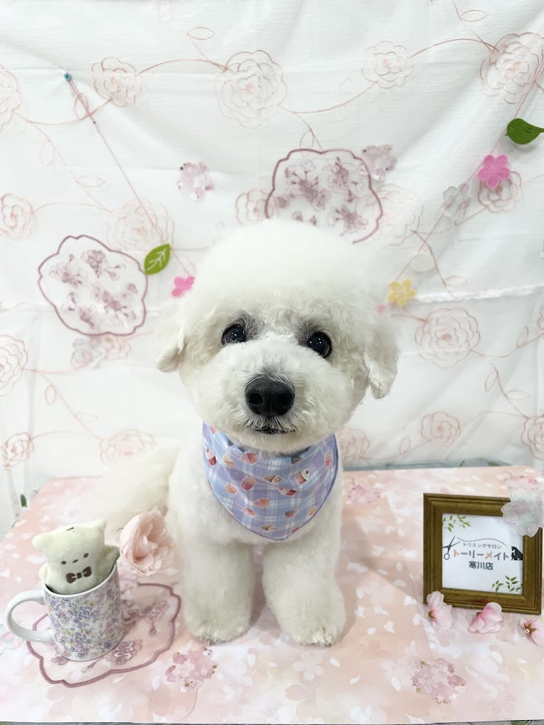 Punahele（プナヘレ）ドッグスペース