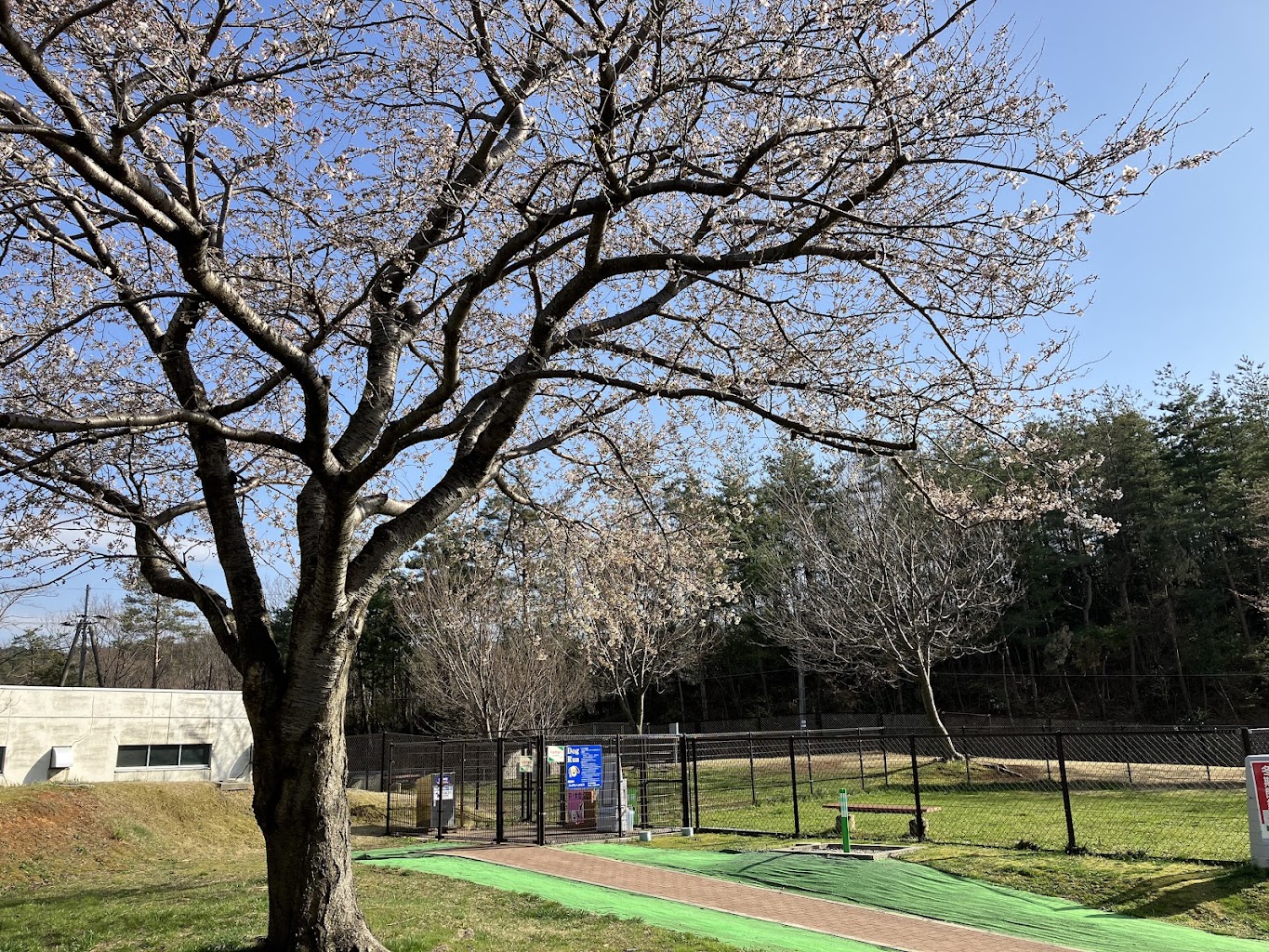 北陸自動車道 米山SA上り ドッグラン
