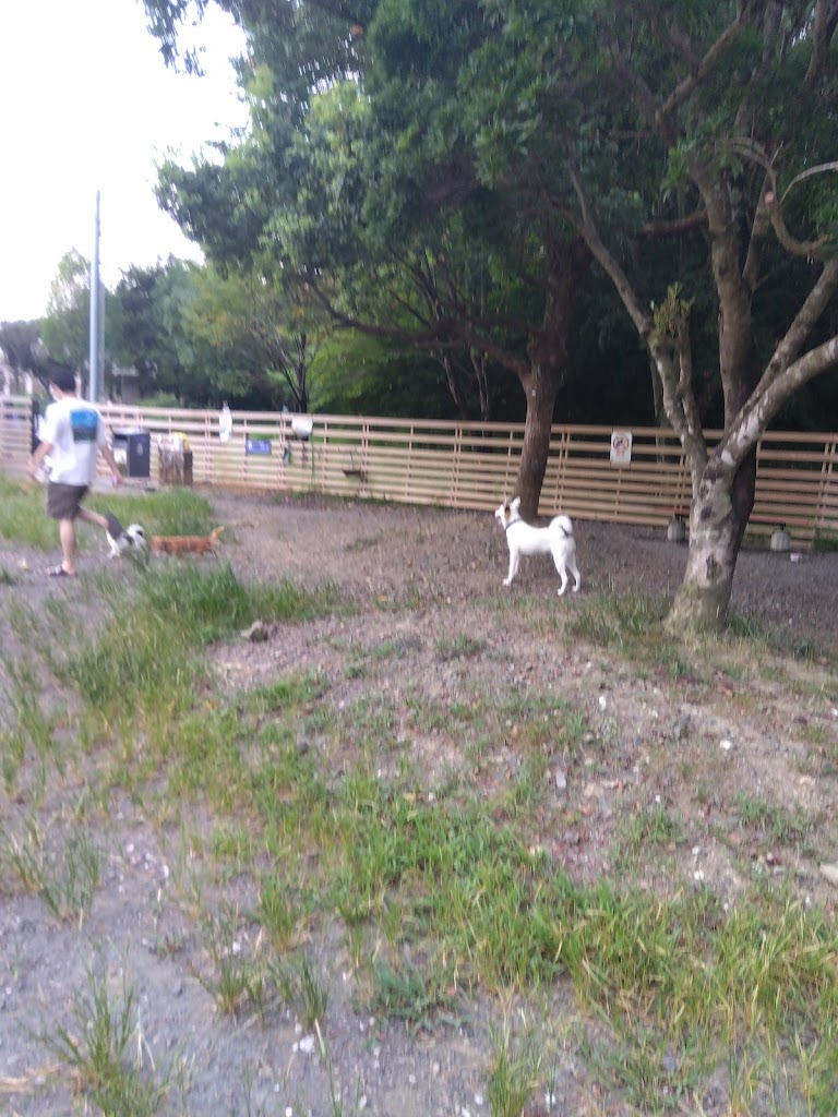 南国SA ドッグラン（下り）