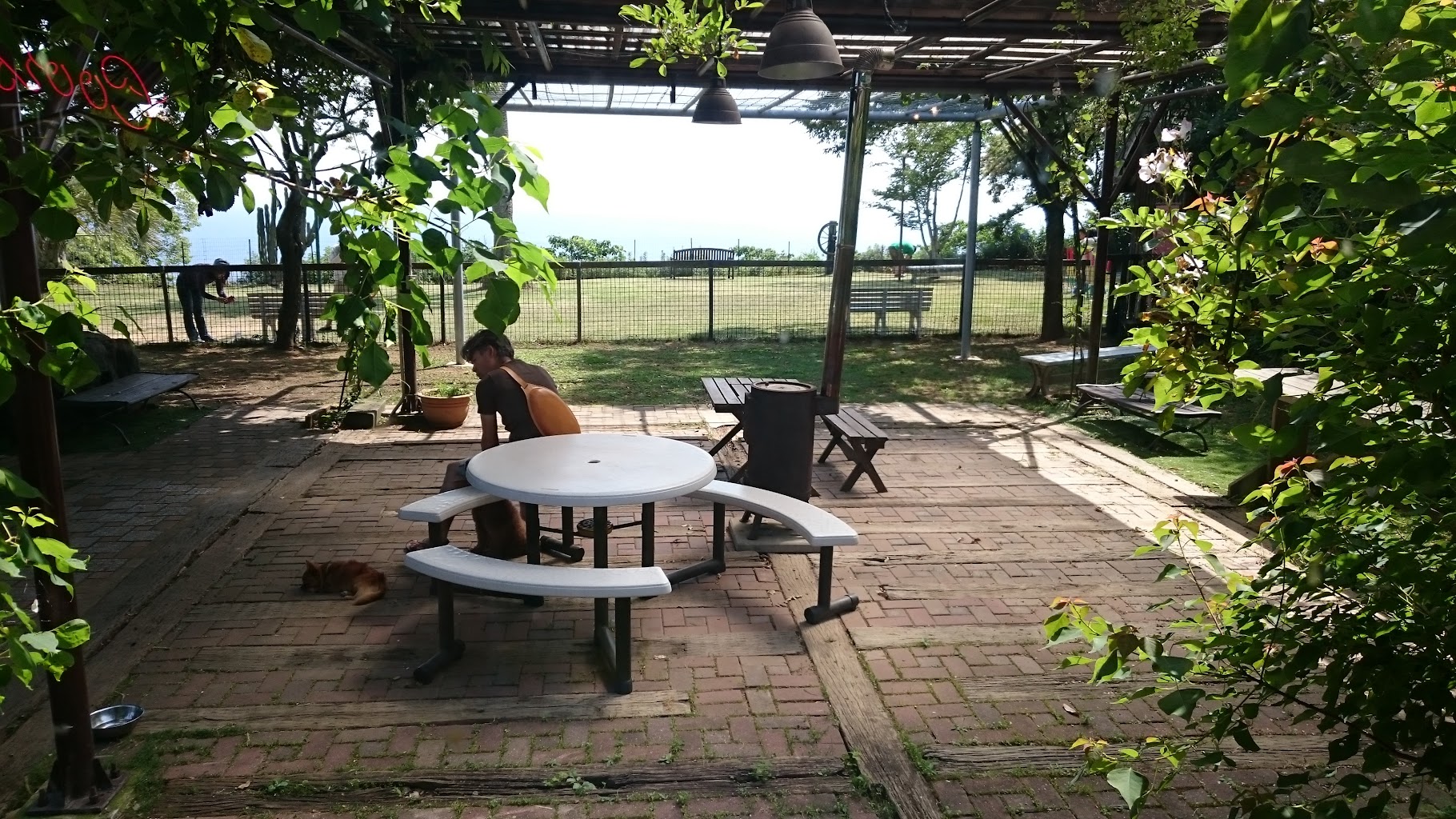 TEXAS LONGHORN by LIBERO CAFE