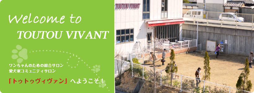 TOU TOU VIVANT（ﾄｩﾄｩｳﾞｨｳﾞｧﾝ）