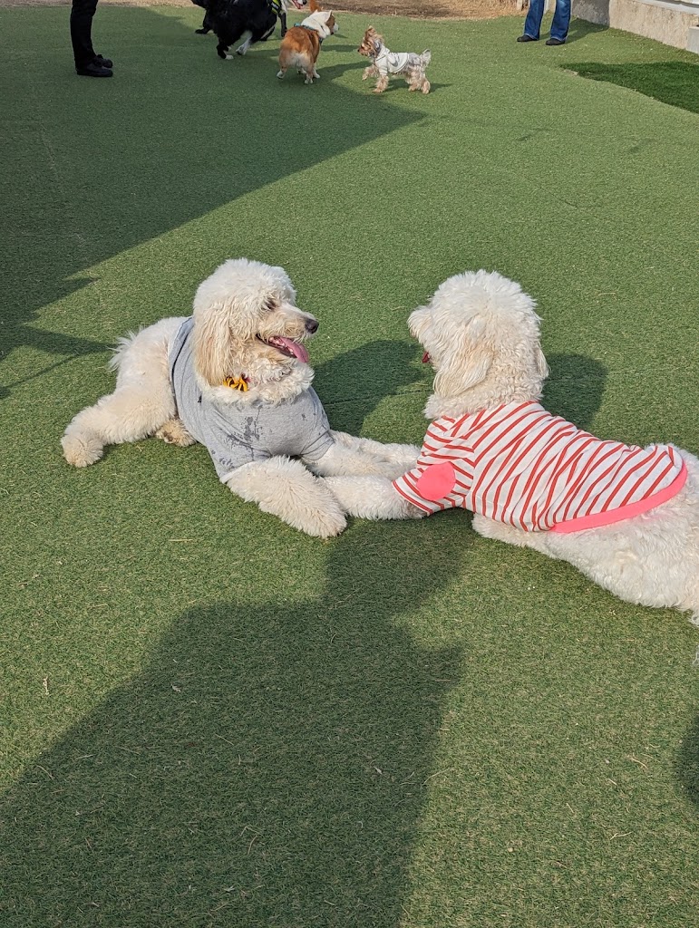 TOWATERA -トワイライトハニーテラス-