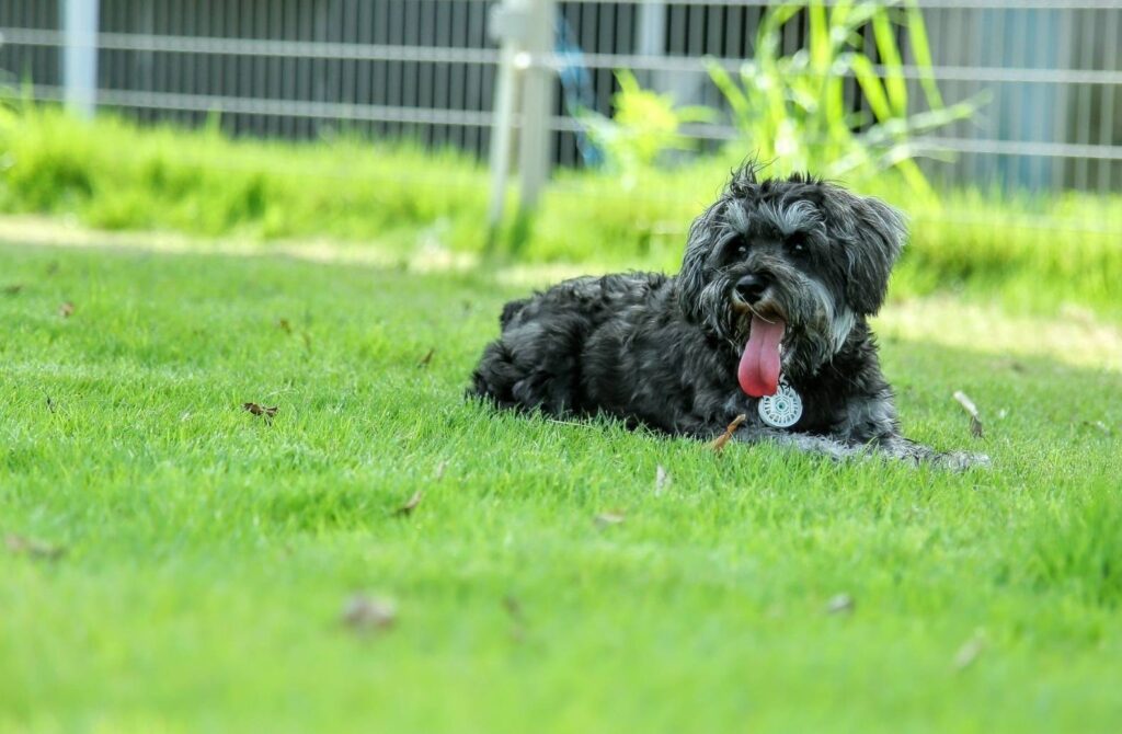 TeoOne(テオワン)