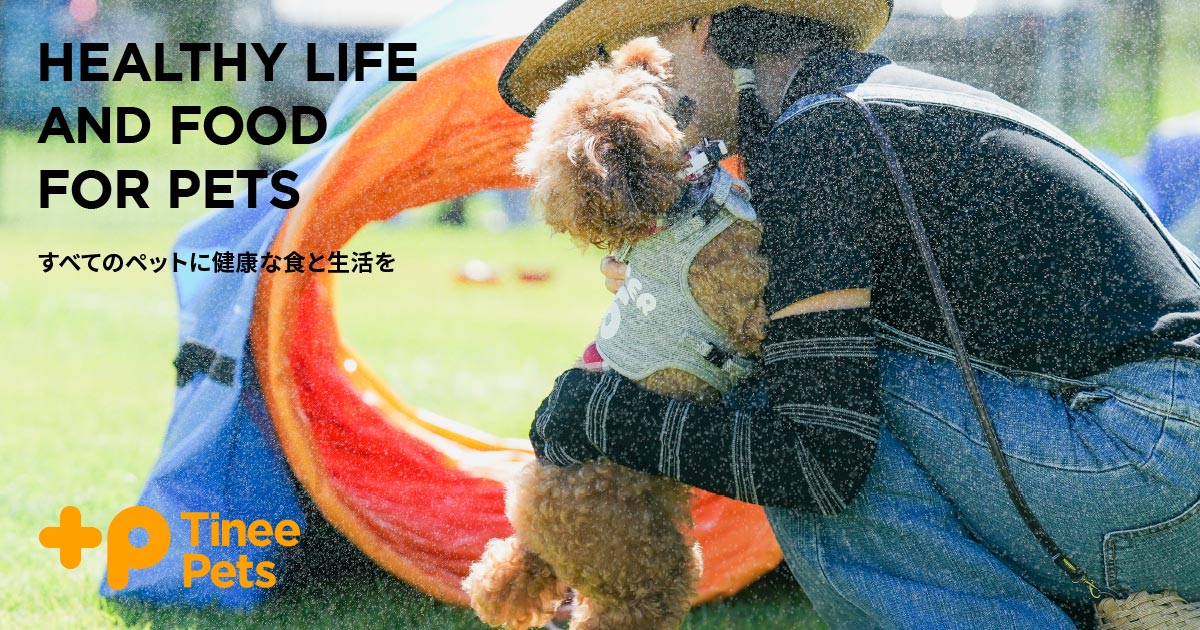 Tinee Dog Park（タイニー ドック パーク）