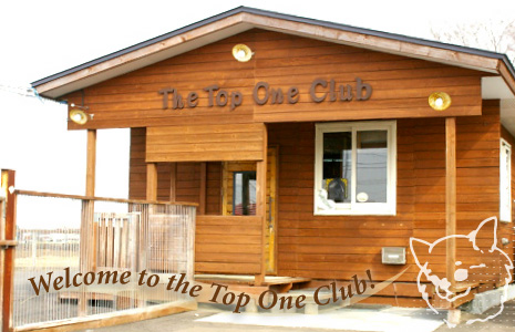 Top One Club SHOP（ﾄｯﾌﾟﾜﾝｸﾗﾌﾞ）