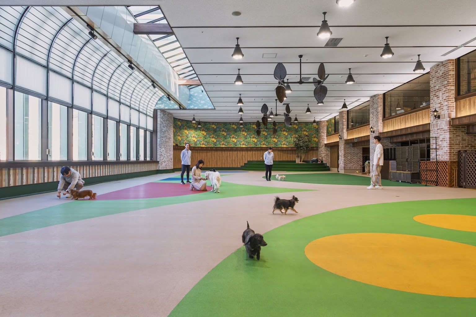 WANCOTT (ワンコット)