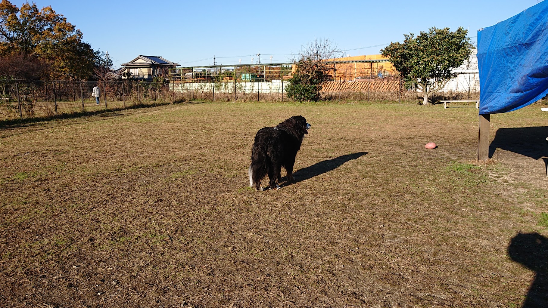 ＤＯＧ WITH(ドッグウィズ)