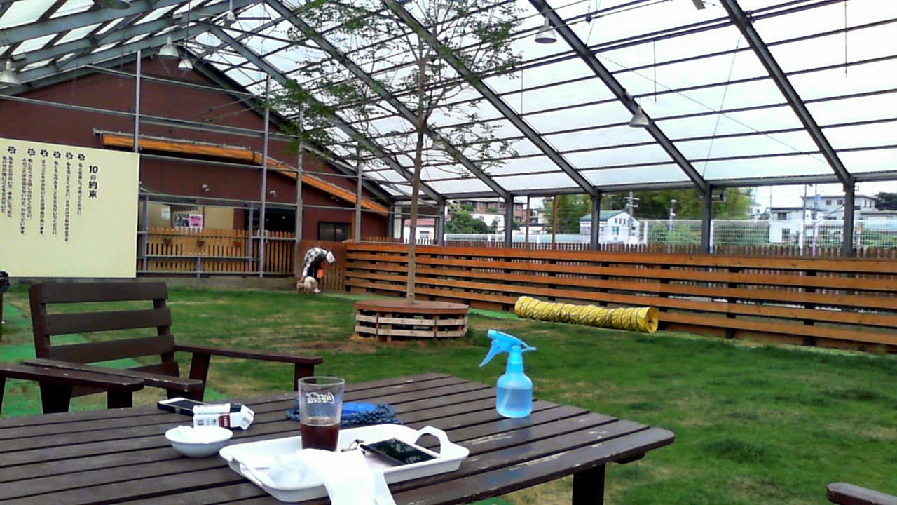 We’s dogcafe＆run