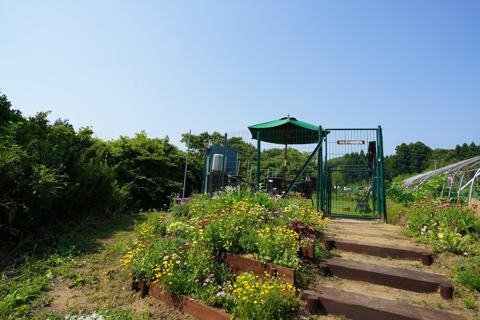 Wildわんず倶楽部