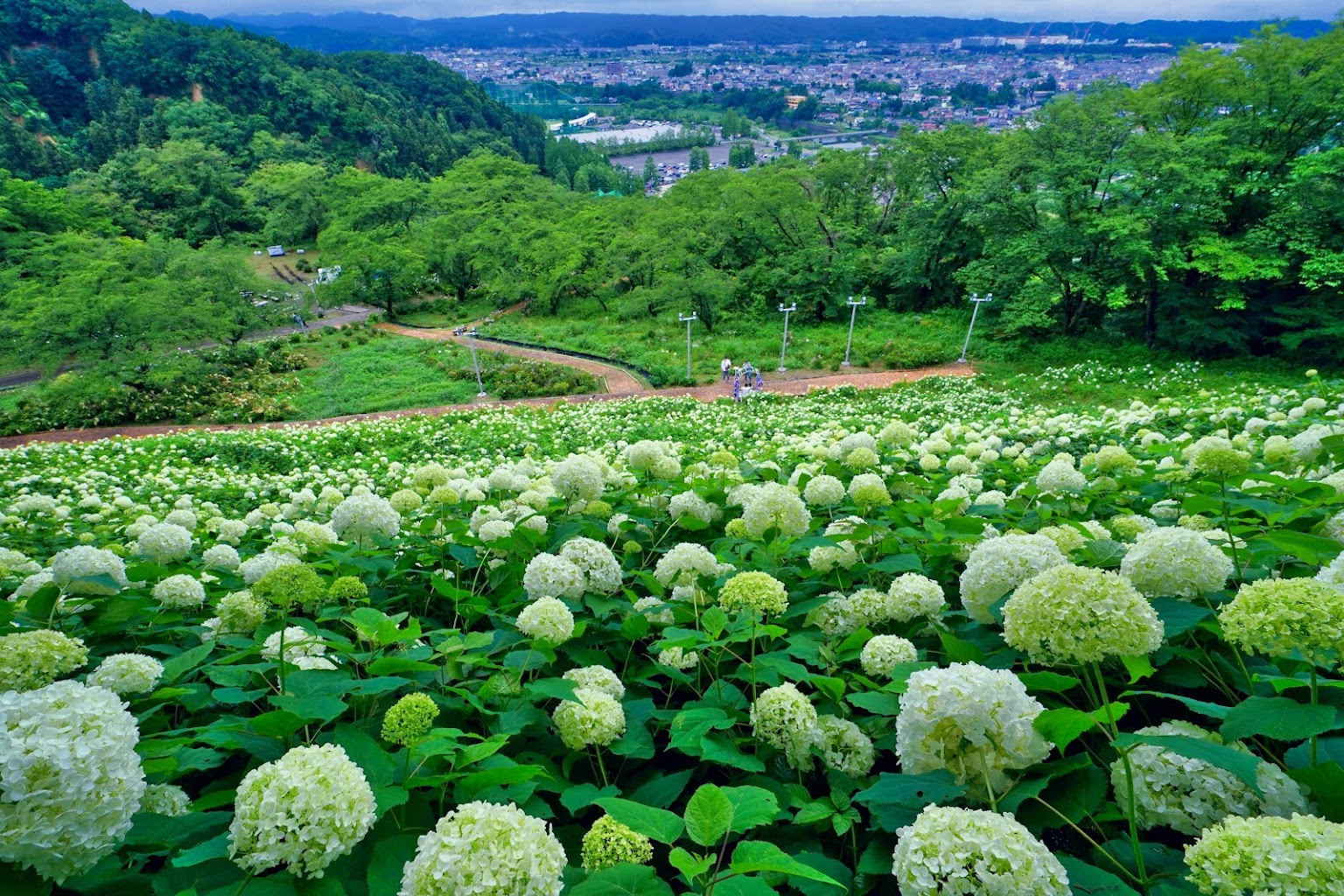 わんダフルネイチャーヴィレッジ