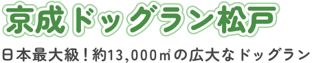 新京成ドッグラン松戸