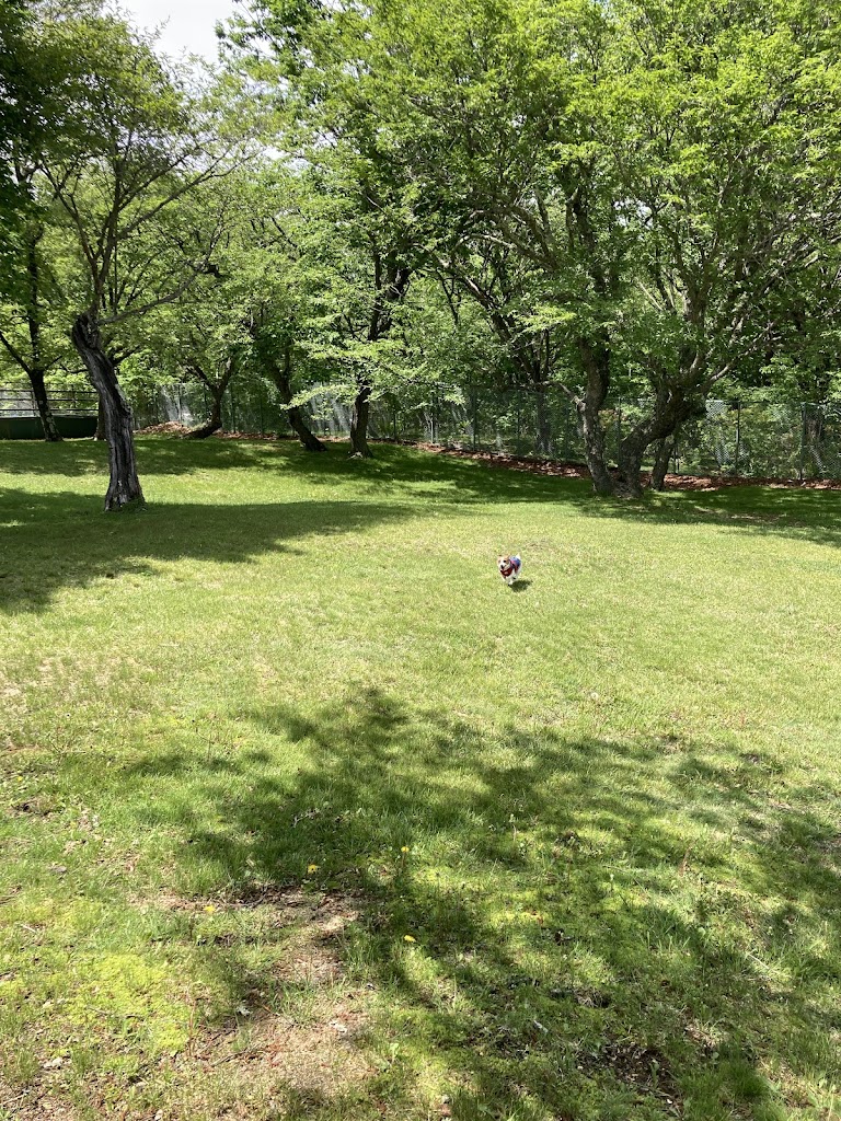 浅間 六里ヶ原休憩所ワンちゃん広場ドッグラン