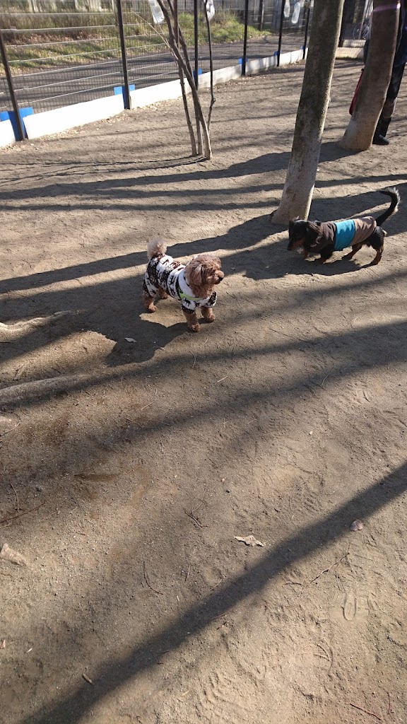 城北中央公園ドッグラン（練馬区）