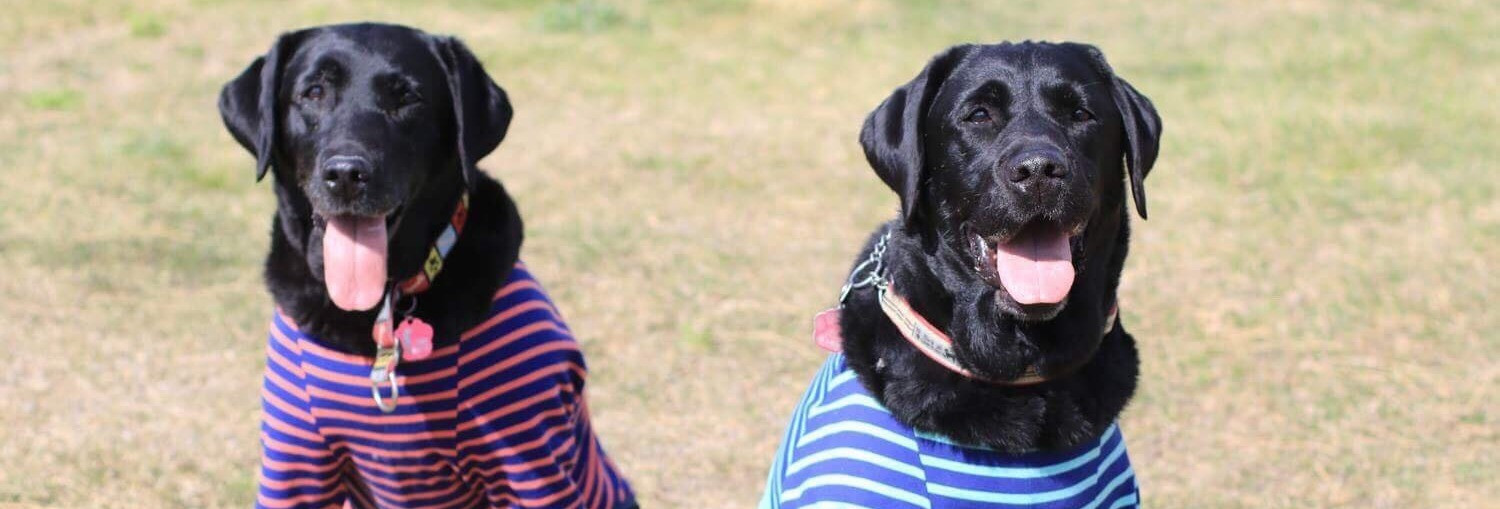 ドッグランクラブ広島