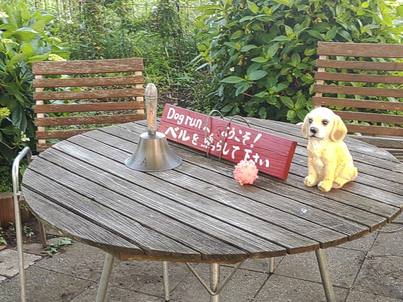 いずみ野 ドッグラン