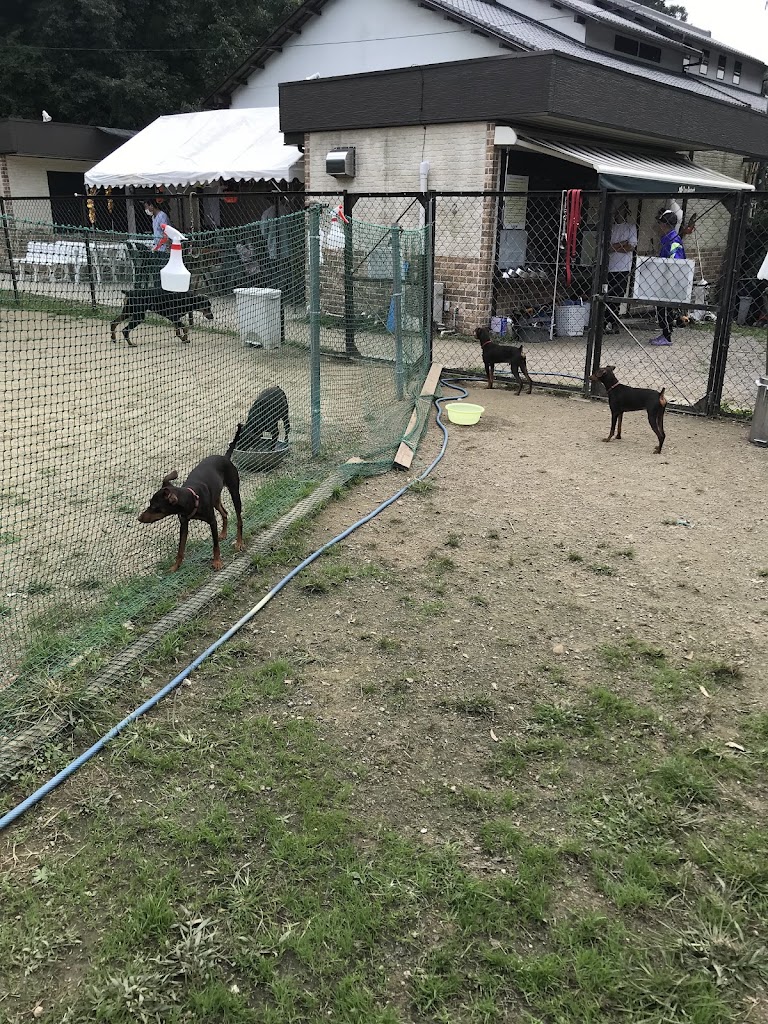 ドッグリゾート犬山