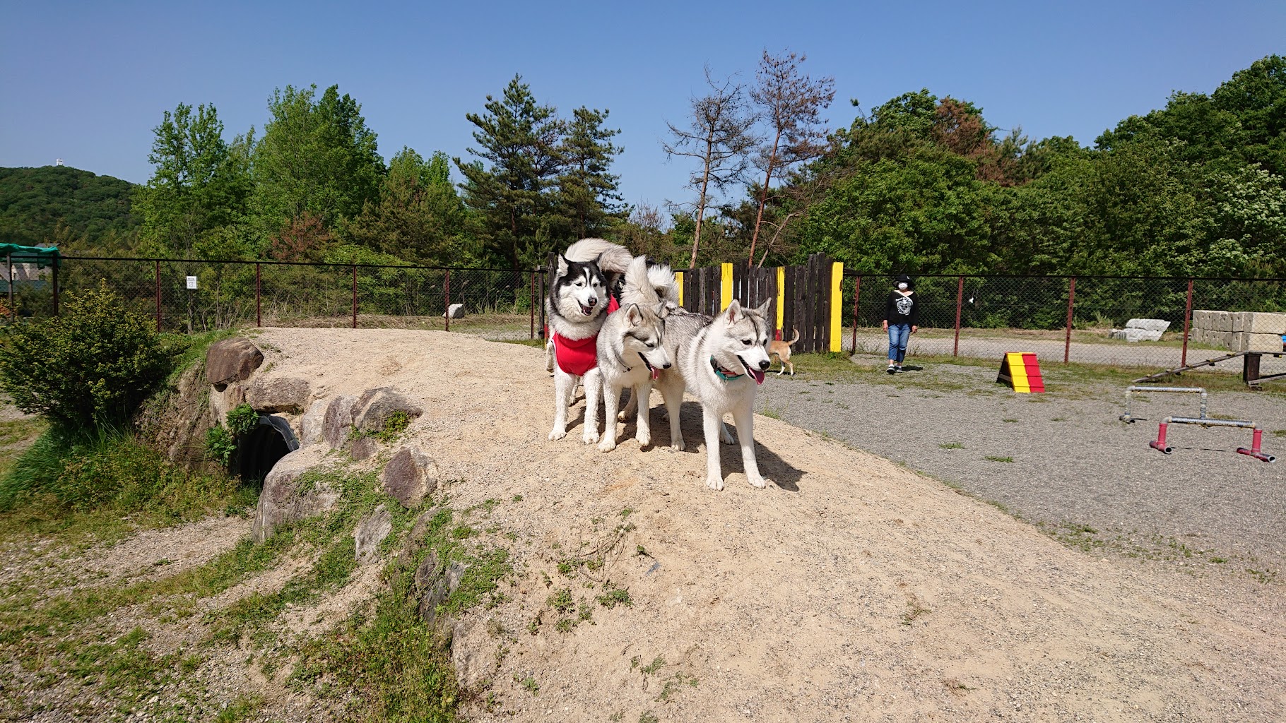 ドッグランひがしひろしま