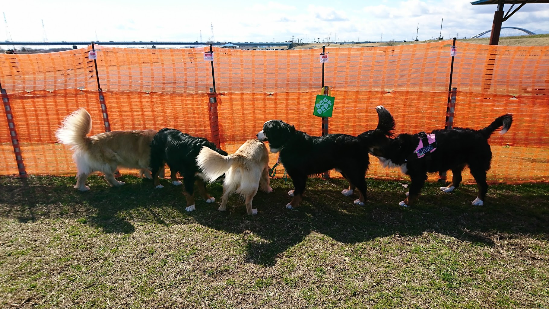 東海広場ドッグラン（国営木曽三川公園）