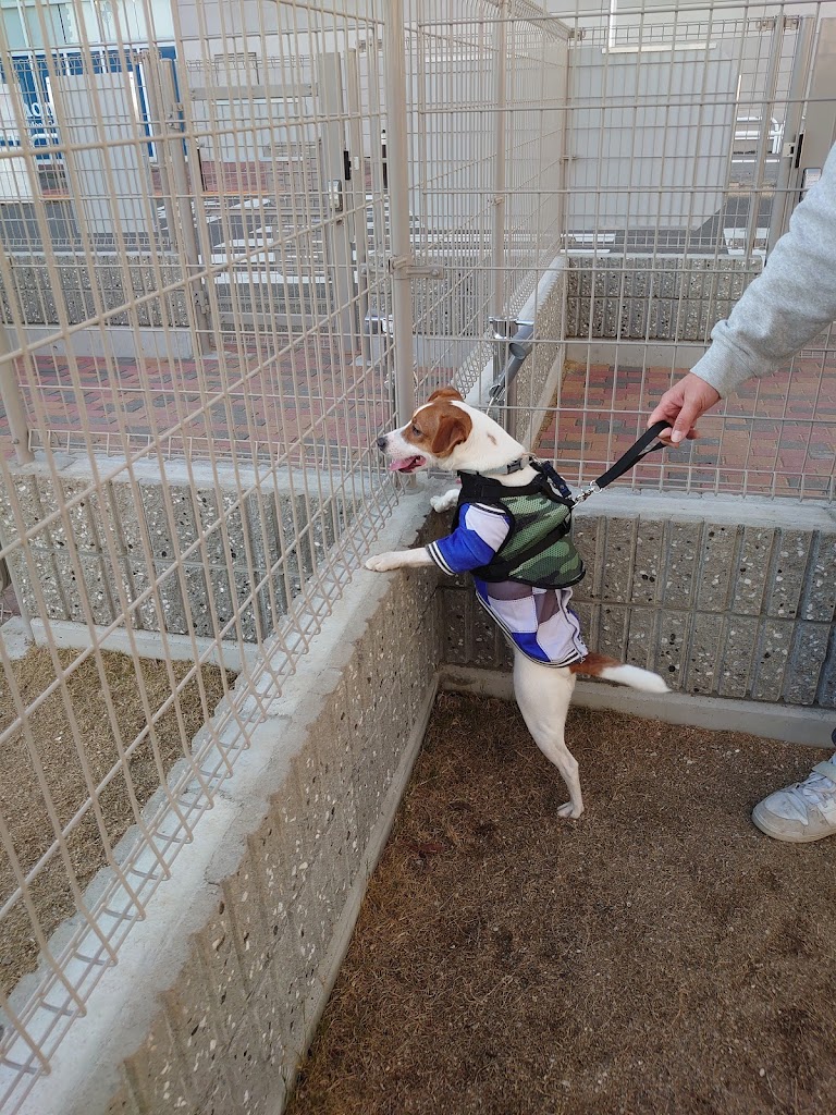 ドッグガーデン・イオンモール高松