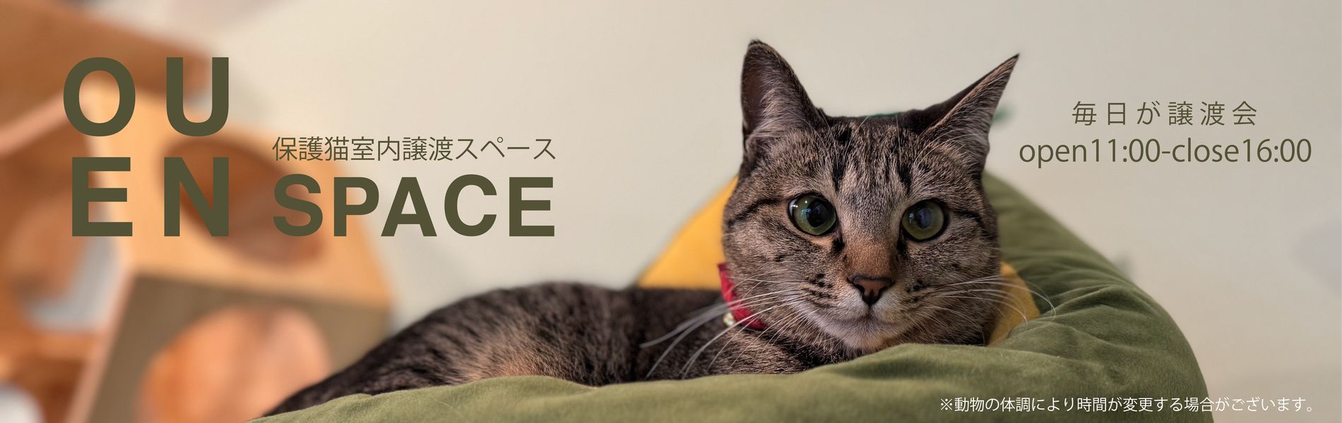 アシストファーム