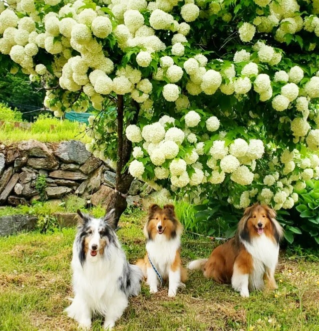 やまのうえランド