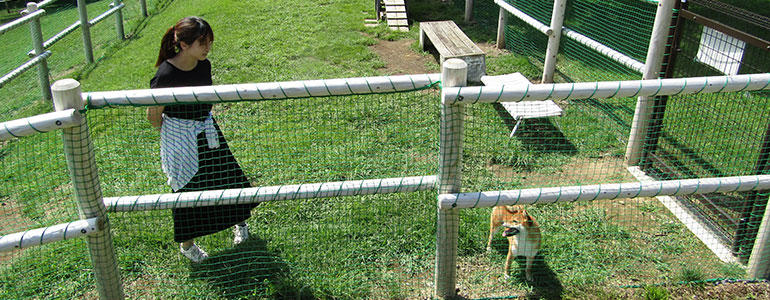 鳥居平やまびこ公園 ドッグラン