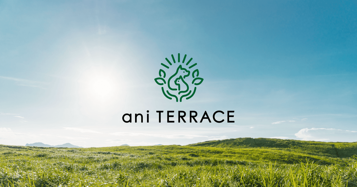 ani TERRACE（アニテラス）
