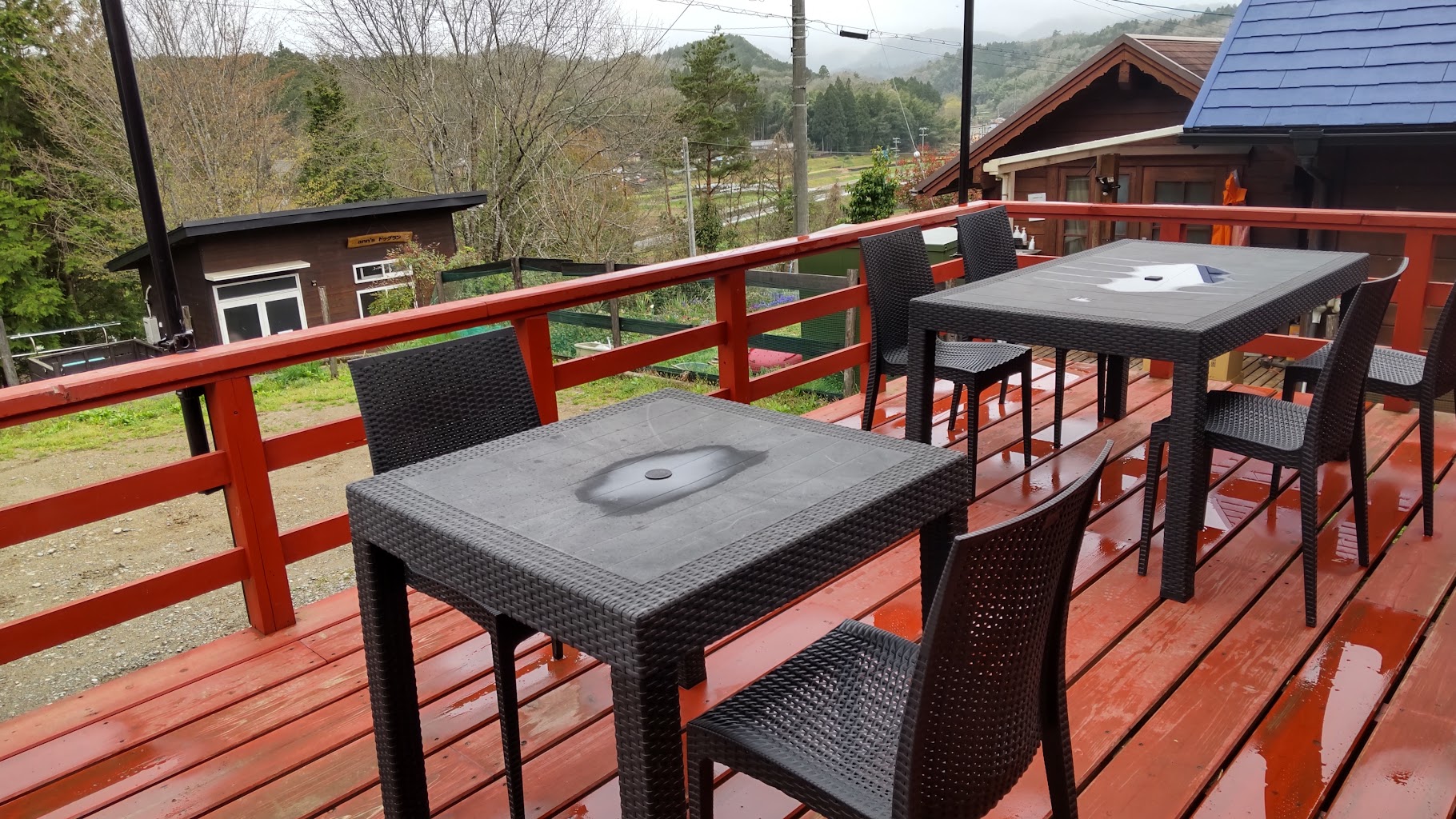 ann’sドックラン