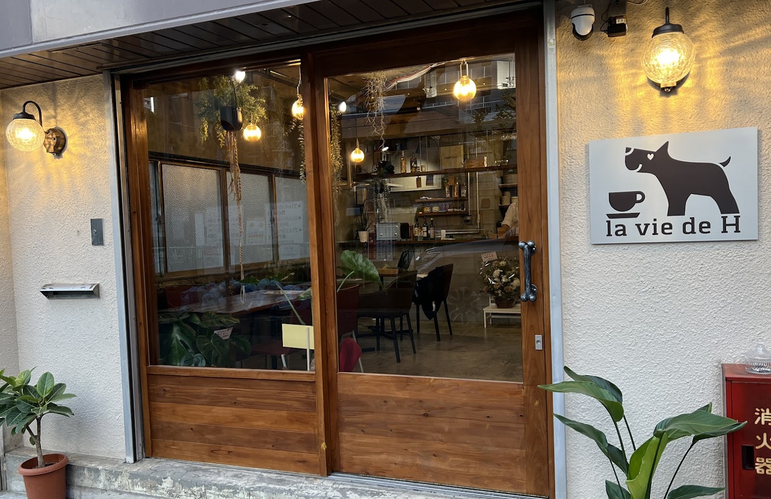 放せる！どっくかふぇ和