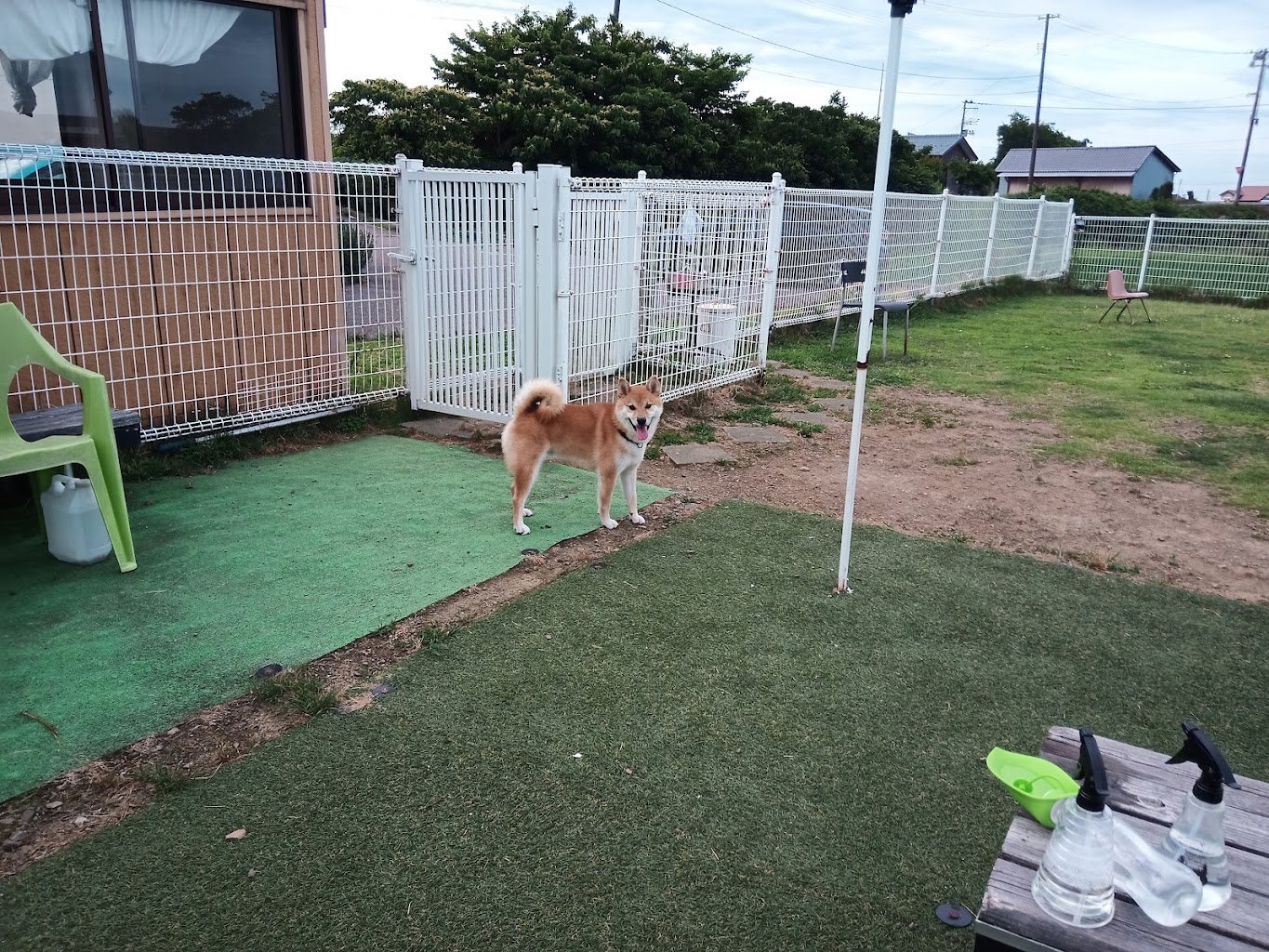 ドッグカフェ＆ラン　月うさぎ